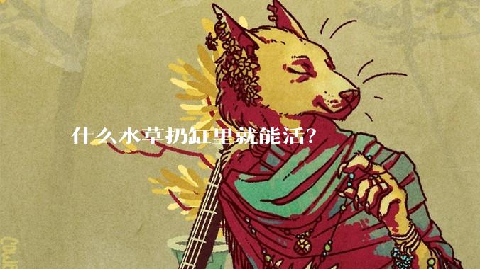 什么水草扔缸里就能活?