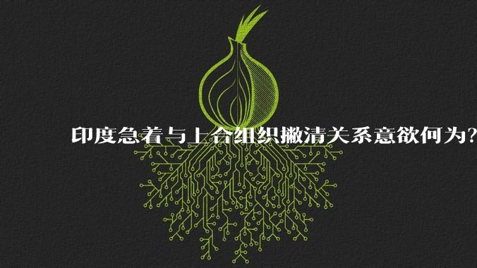 印度急着与上合组织撇清关系意欲何为?