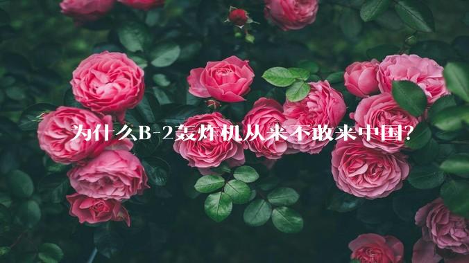 为什么B-2轰炸机从来不敢来中国?