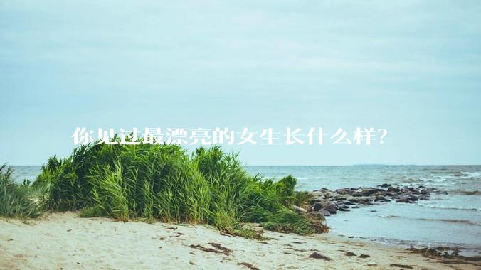 你见过最漂亮的女生长什么样?