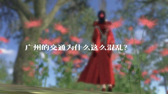 广州的交通为什么这么混乱?