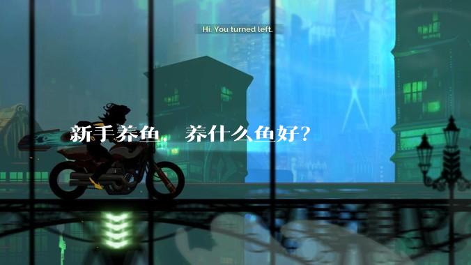 新手养鱼,养什么鱼好?