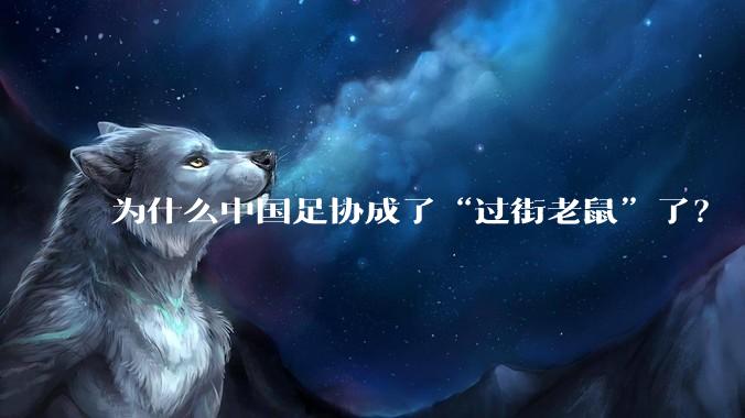 为什么中国足协成了“过街老鼠”了?