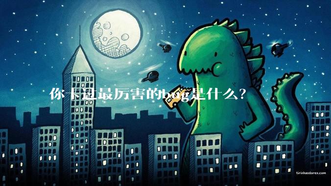 你卡过最厉害的bug是什么?