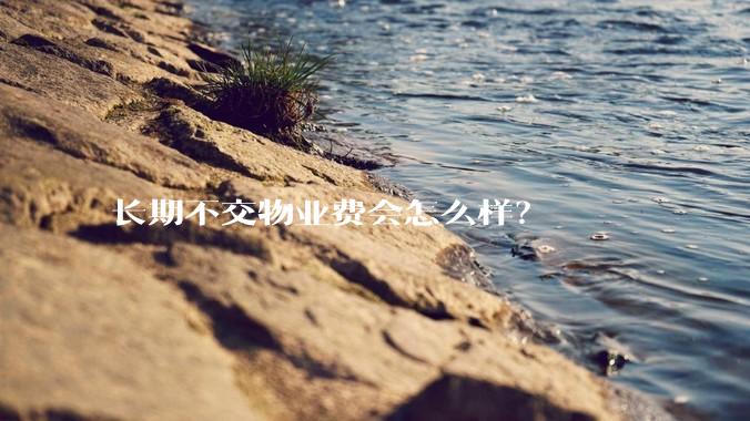 长期不交物业费会怎么样?