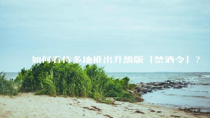 如何看待多地推出升级版「禁酒令」?