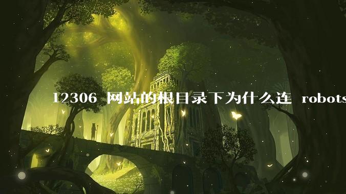 12306 网站的根目录下为什么连 robots.txt 文件(反爬虫协议)都没有?