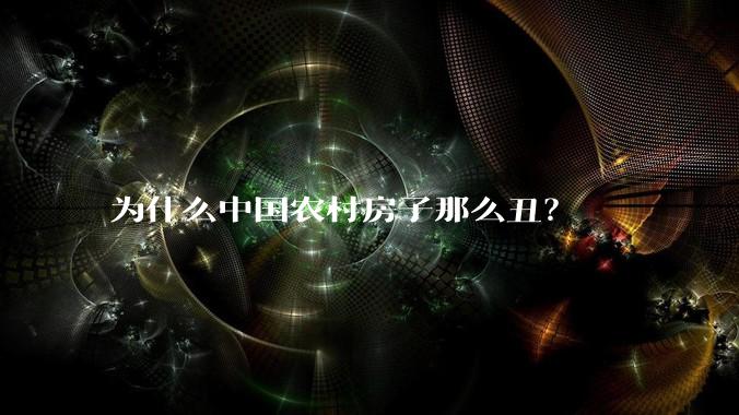 为什么中国农村房子那么丑?