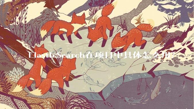 ElasticSearch在项目中具体怎么用?