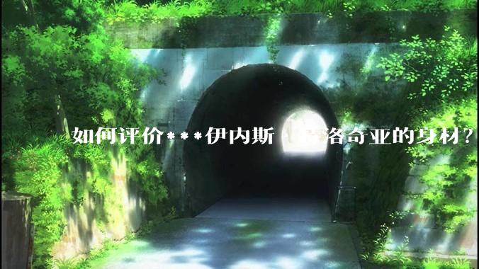 如何评价***伊内斯·特洛奇亚的身材?