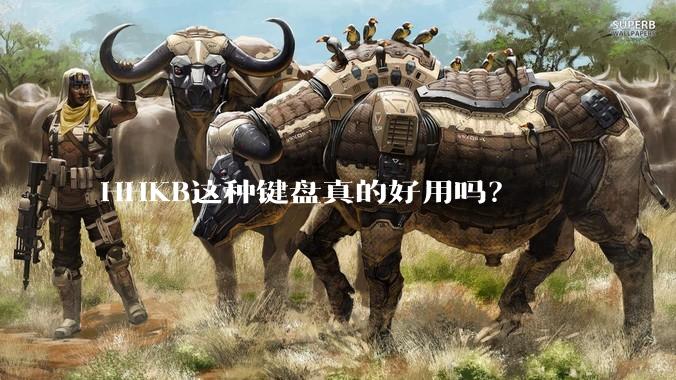 HHKB这种键盘真的好用吗?
