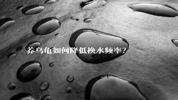 养乌龟如何降低换水频率?