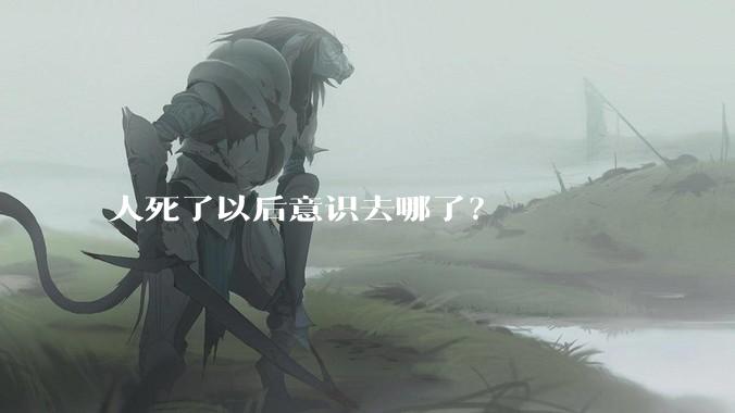 人死了以后意识去哪了?