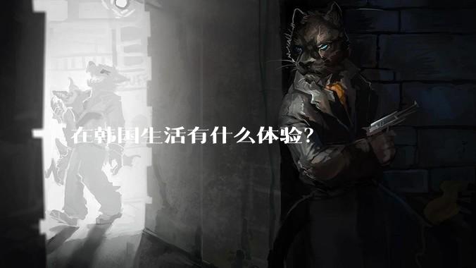 在韩国生活有什么体验?