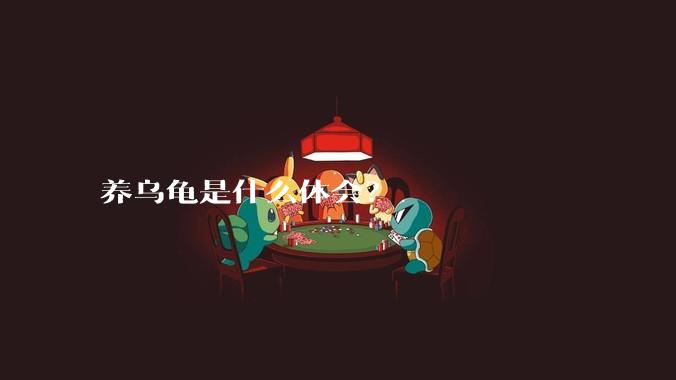 养乌龟是什么体会?