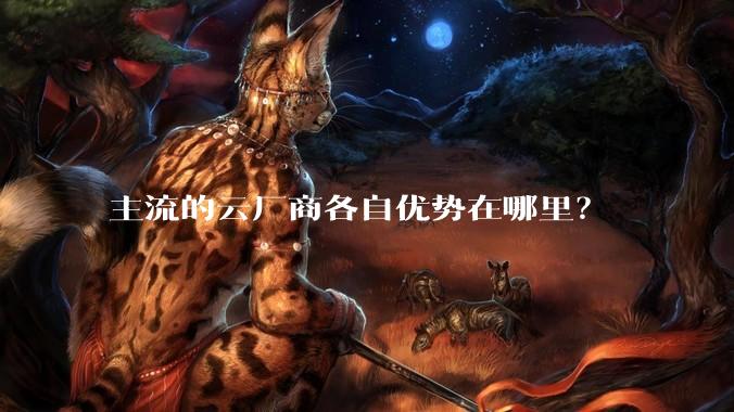 主流的云厂商各自优势在哪里?