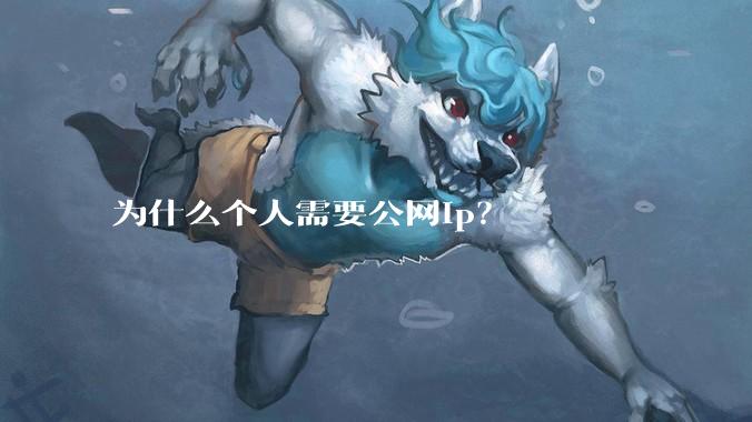 为什么个人需要公网ip?