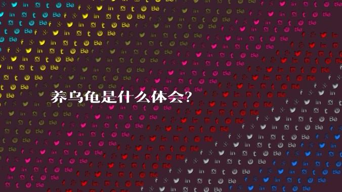 养乌龟是什么体会?