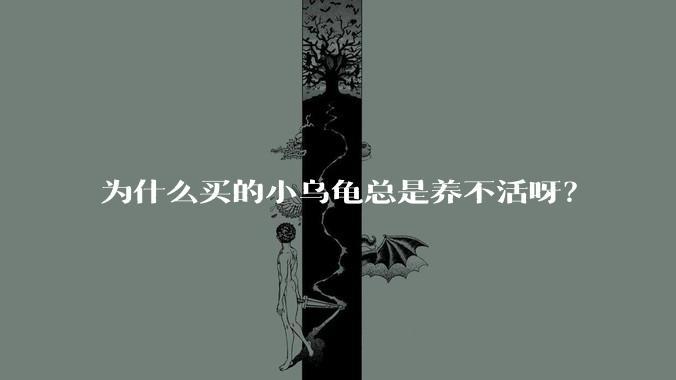 为什么买的小乌龟总是养不活呀?