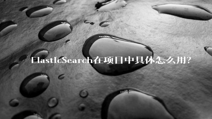 ElasticSearch在项目中具体怎么用?