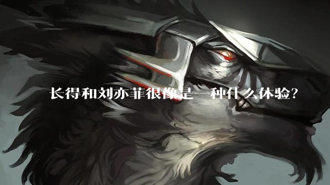 长得和刘亦菲很像是一种什么体验?