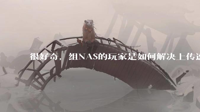 很好奇,组NAS的玩家是如何解决上传速率的问题?